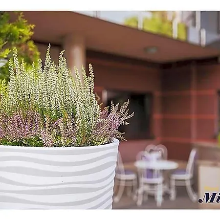 Hotell Mistral