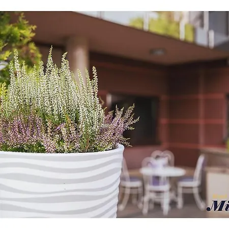 Mistral Hotel Marki (Wolomin)